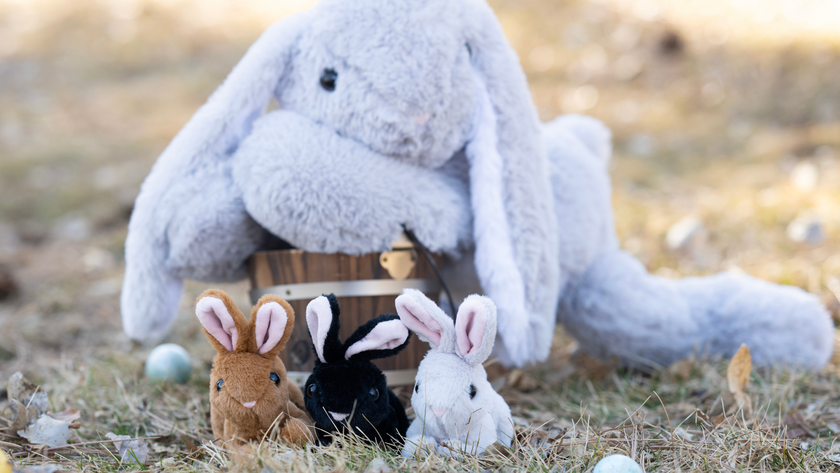 How to Make a Cute Easter Basket Using Stuffed Animals: A Step-by-Step Guide