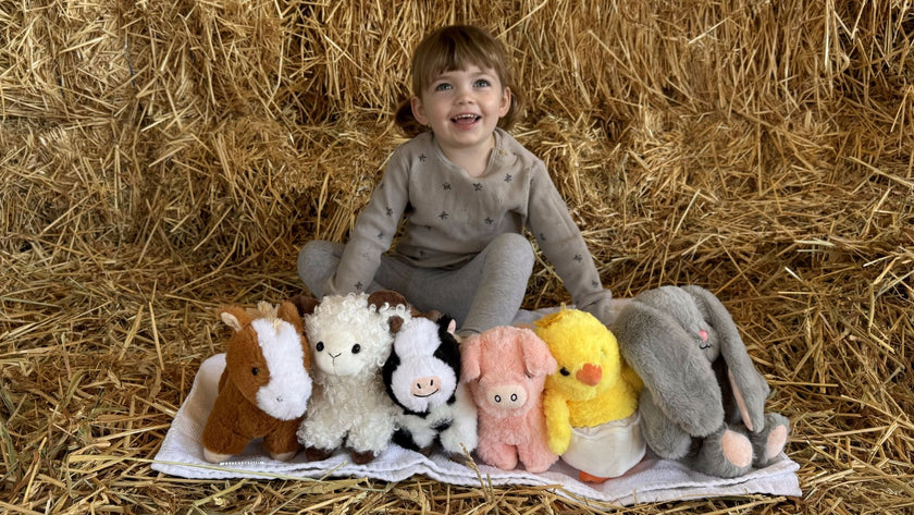 Selecting Suitable Plush Toys for Your Pre-Kindergarten Classroom