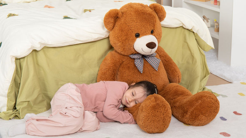 🐻Why A Teddy Bear Makes a Lifetime Companion?