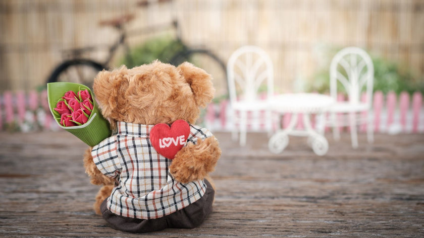 Why teddy bear is the perfect Valentine's Day gift?
