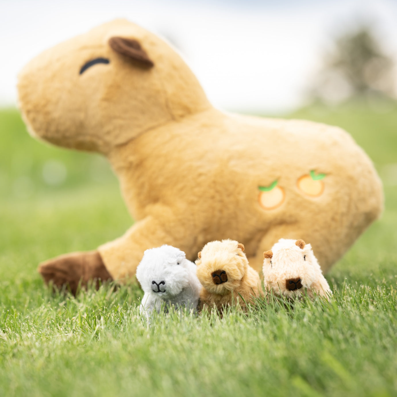 Capybara with Three Baby Plush Toys, 20 Inches