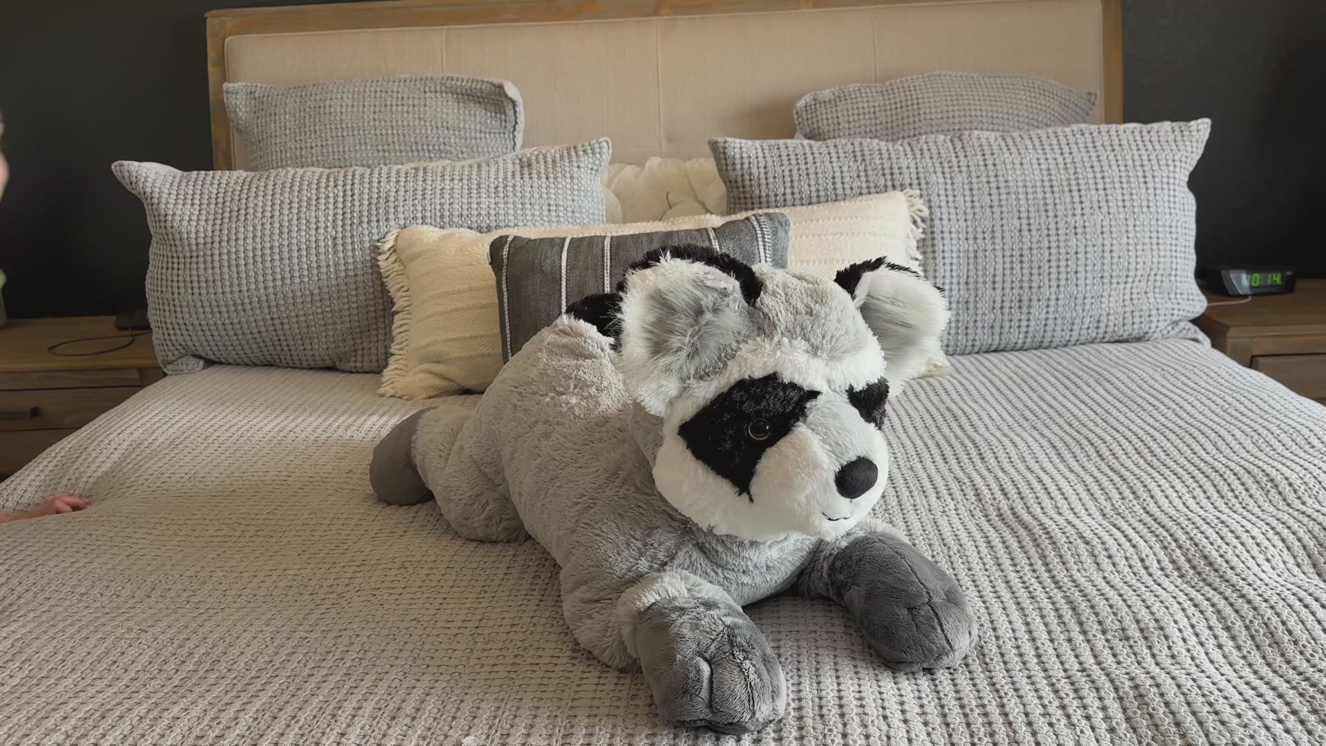 Raccoon Stuffed Animals, Grey, 27.5 Inches